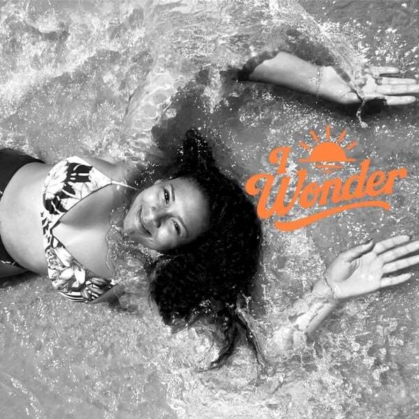 Cover art for I Wonder